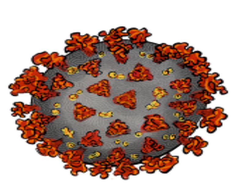 Brain and the COVID-19 Pandemic