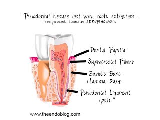 Teeth & Dental Implants