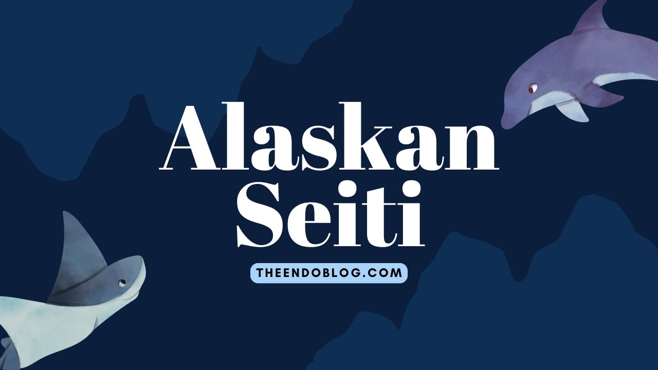Alaskan Seiti